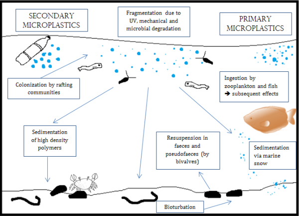 Can Berkey Remove Microplastics From Water?