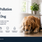 Water Pollution and the Family Dog