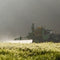 Commercial Pesticides More Toxic Than We're Led to Believe