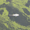 Algal Blooms Becoming More Toxic Due to Nutrient Enrichment & Changing Climate