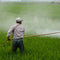 Is a Berkey Water Filter Effective in Removing Pesticides and Herbicides?