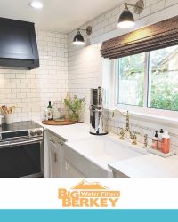 House Water Filter, What's The Best Solution For You?