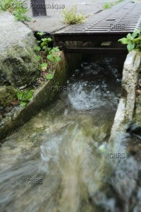 Life in the Gutter May Offer Benefits