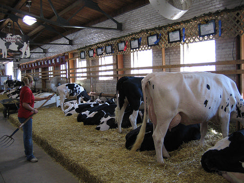 Yakima Dairies Take Steps to Reduce Nitrate Contamination in Groundwater