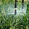 Water-efficient Crop Production