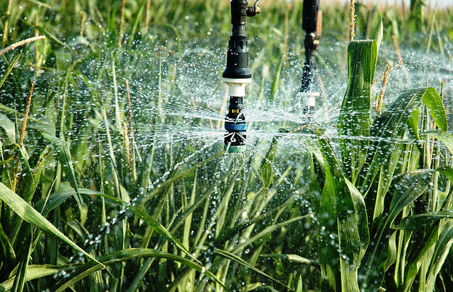 Water-efficient Crop Production
