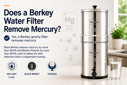 does a berkey water filter remove mercury