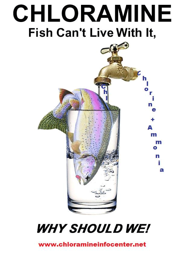 Chloramine: What Contaminants Linger After Water is Disinfected