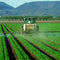 Does Glyphosate Pose a Health Risk in Drinking Water?