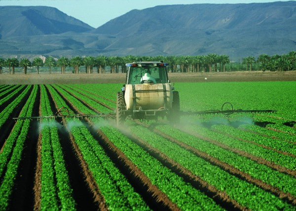 Does Glyphosate Pose a Health Risk in Drinking Water?