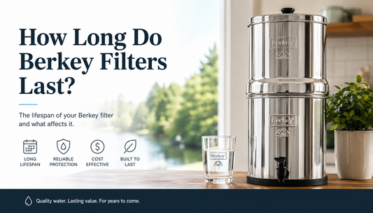 how long do berkey filters last
