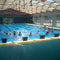 Chlorine in Pools Raises Cancer Risk