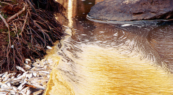 Nitrates and Nitrites in Drinking Water: What You Should Know