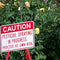 Pesticides Implicated as Source of Human Norovirus
