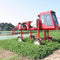 Pesticides Linked to Food Allergies