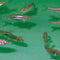 Drug Crazed Fish