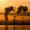 Higher Incidences of Cancer Found in Areas Surrounding Refineries and Plants that Emit Benzene