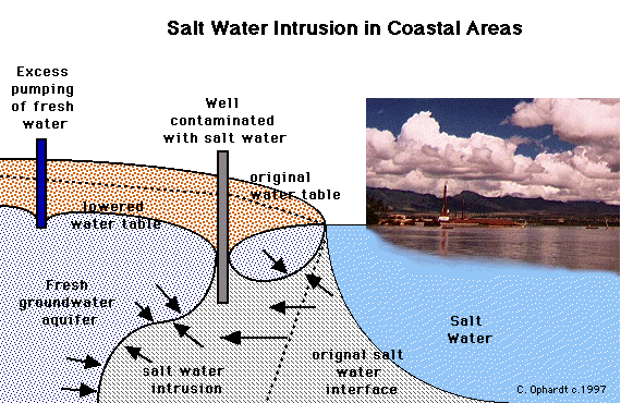 Study Finds Coastal Groundwater More Vulnerable to Water Draw-offs than Climate Change