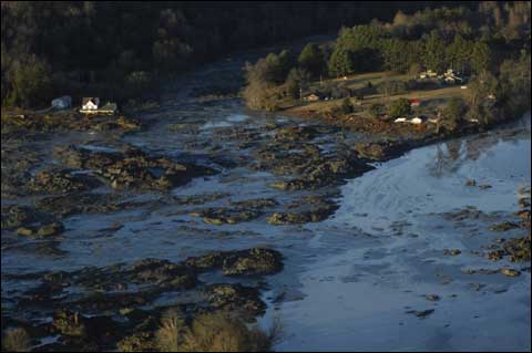 Tennessee Coal Ash Spill, An Environmental Disaster