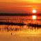 Groundwater Warming in Sync with Atmosphere