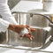 The Dark Side of Anti-Bacterial Soap