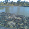 Treated Fracking Wastewater Contains Potentially Hazardous Byproducts that can Contaminate Drinking Water