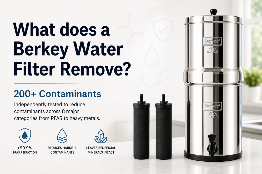 what does a berkey water filter remove