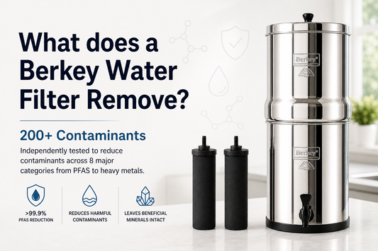 what does a berkey water filter remove