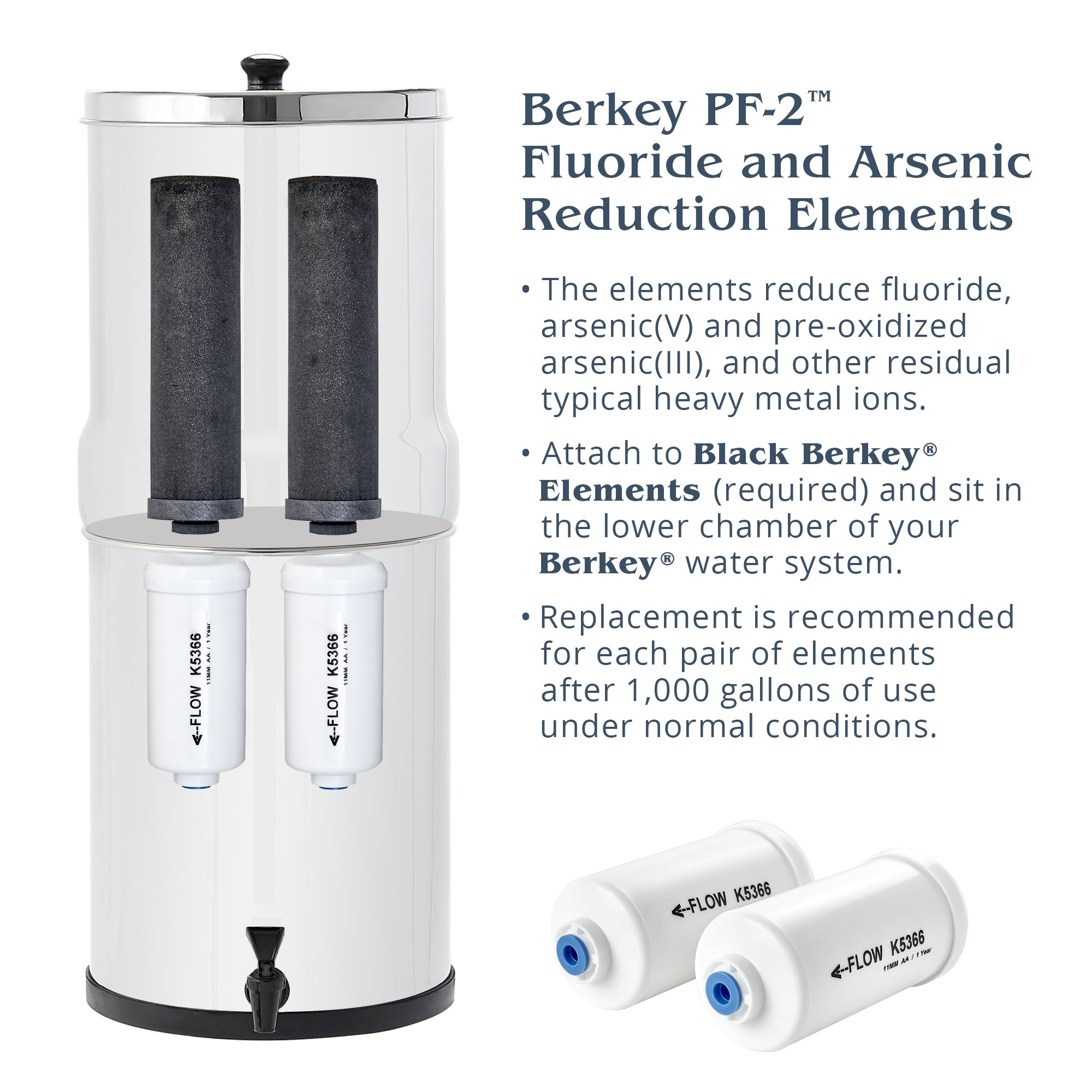 Berkey PF-2 Fluoride & Arsenic Filters | Authorized Dealer – Big
