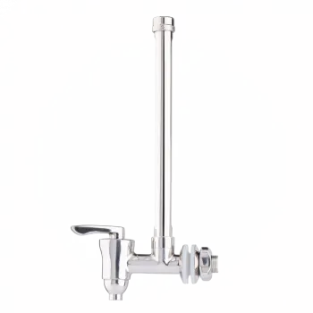 Stainless Steel Water View Spigot
